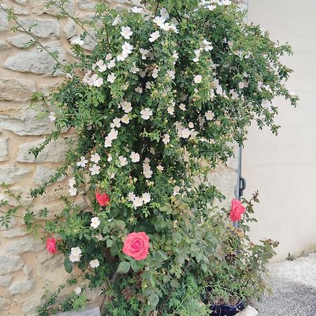 Gite L'Edenwine Doulezon Exterior photo